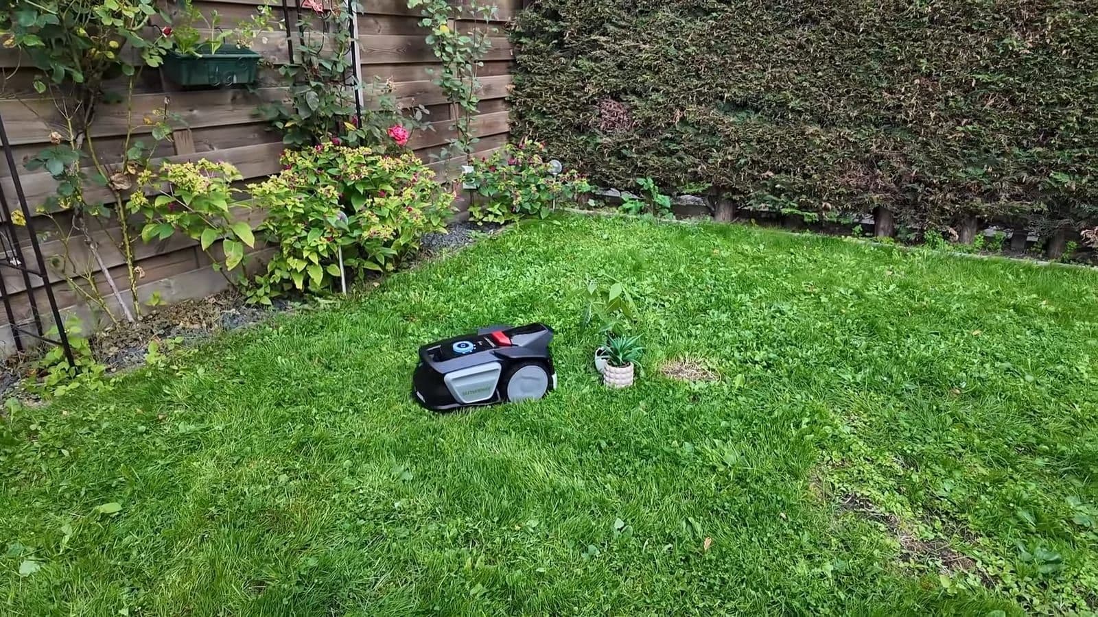 Sunseeker V1 robotmaaier rijdt over een gazon vlak naast een plantje in een witte pot